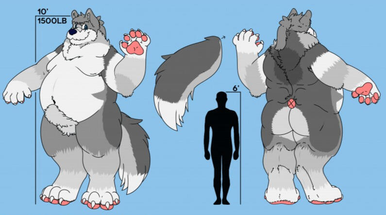 This is a crop of the full reference, just for the size and shapes. I made this one.